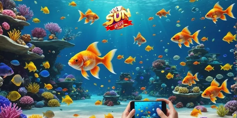 Các sảnh cược giúp đáp ứng mọi level của cược thủ