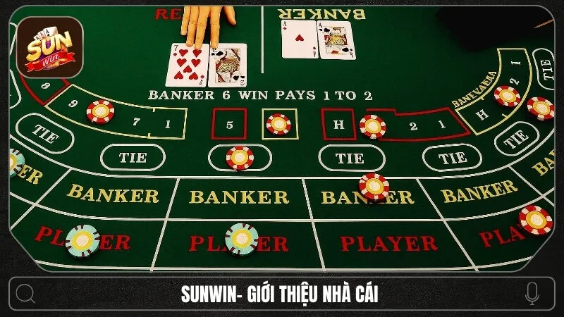 Cách đánh Baccarat - Cẩm nang cho người chơi mới