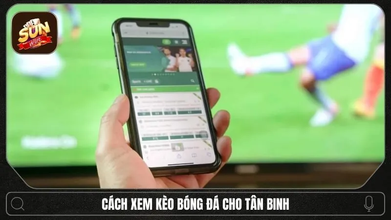 Cách xem kèo bóng đá chuẩn cho người chơi: Hướng dẫn đọc bảng kèo dễ hiểu nhất